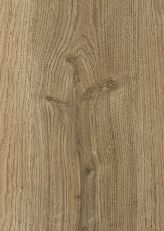 Minnesota Oak Embossed Feature Wall Panelling